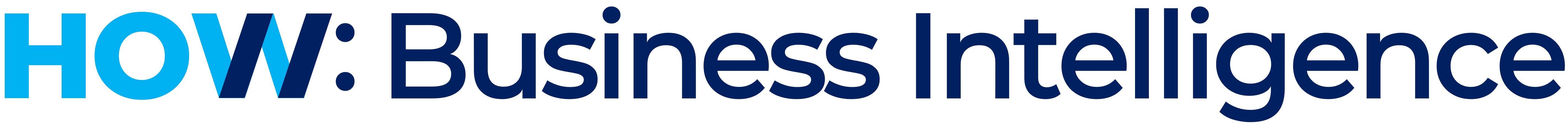 HOW Business Intelligence